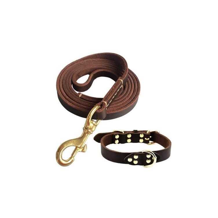 Leather 6 Foot Braided Dog Leash L876750