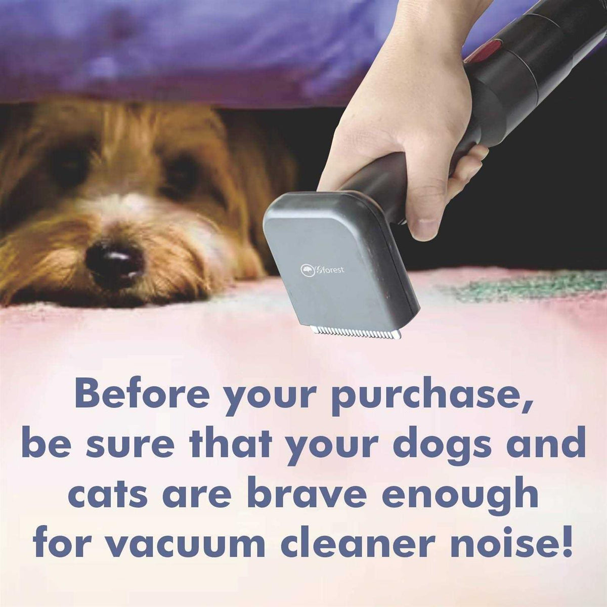 Pet Hair Grooming Brush Comb Shedding Tool K34233