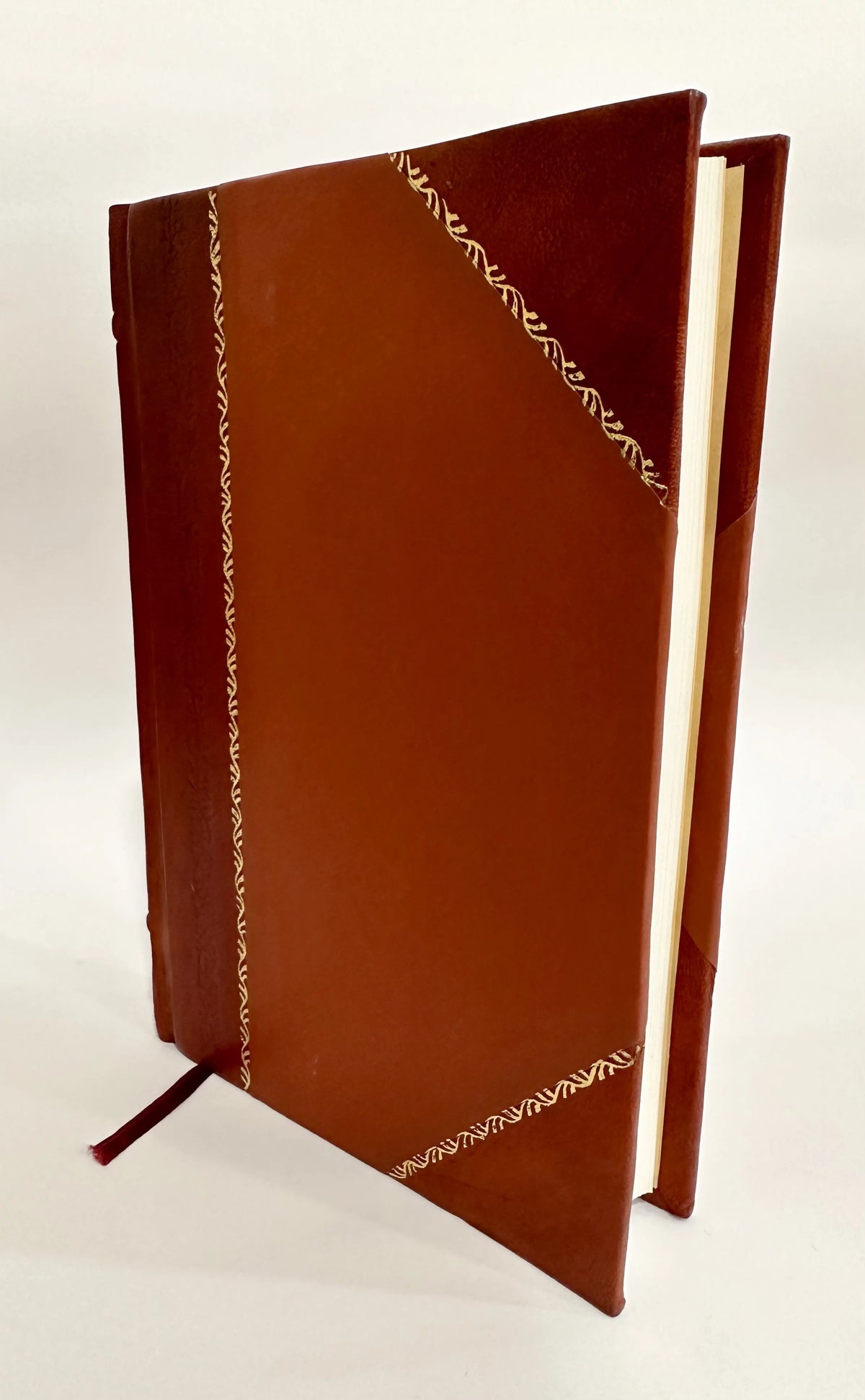 Human Nature Study Leather Bound V42661
