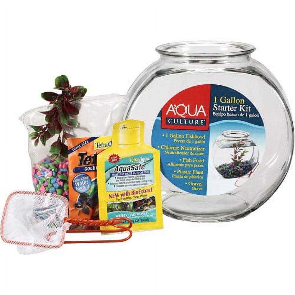 Glass Fish Bowl with Starter Kit W390507