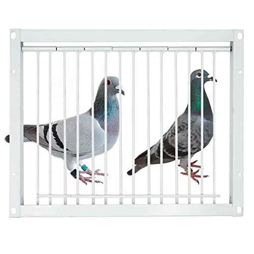 30cm Pigeon Cage One Way Entrance Door W453612