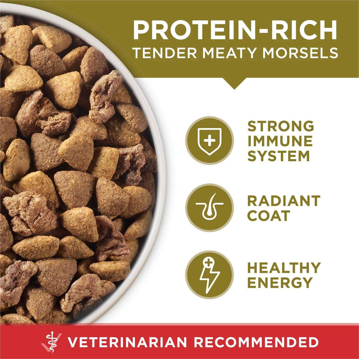 Natural Dry Dog Food Lamb Rice Formula W456