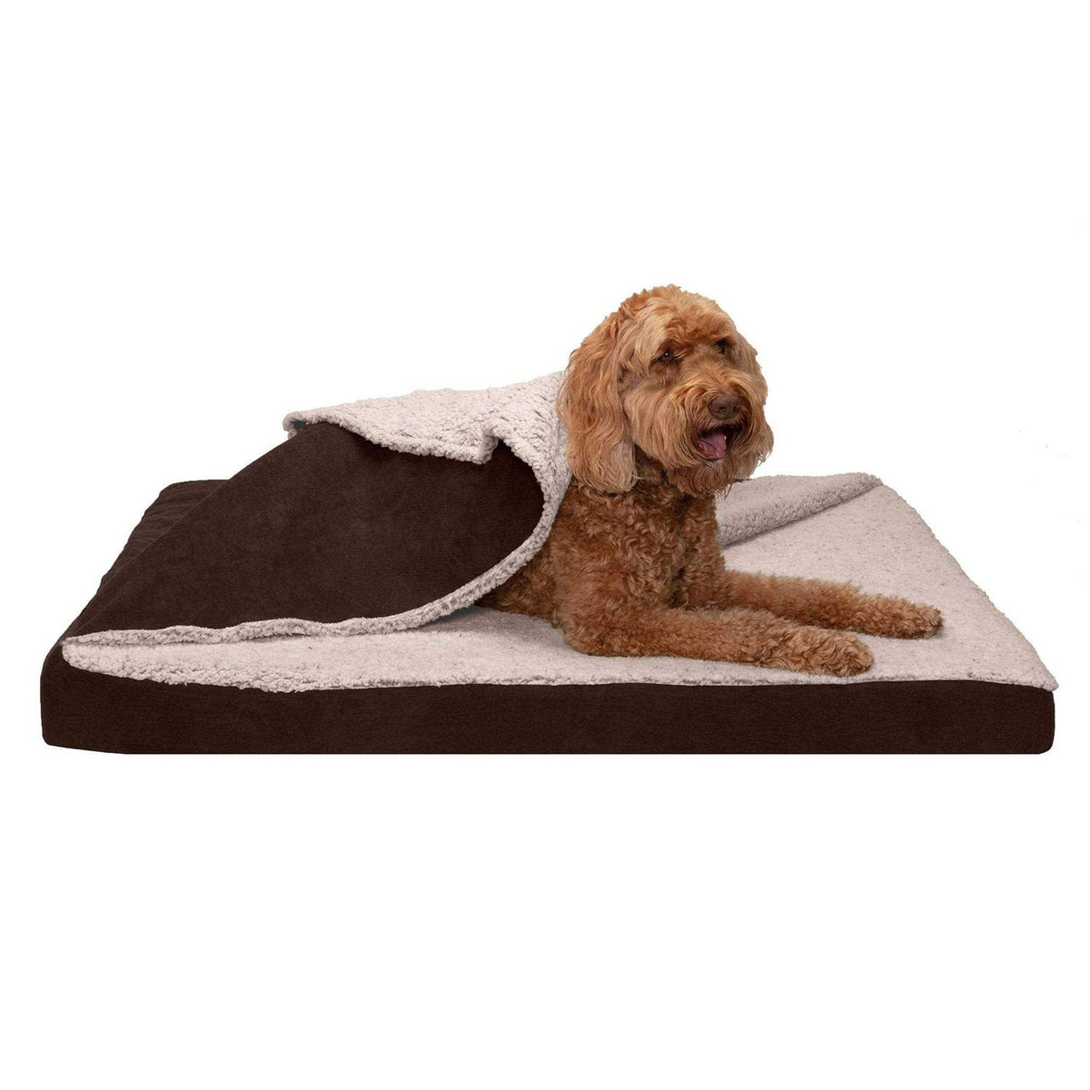 Blanket Top Dog Bed Y570