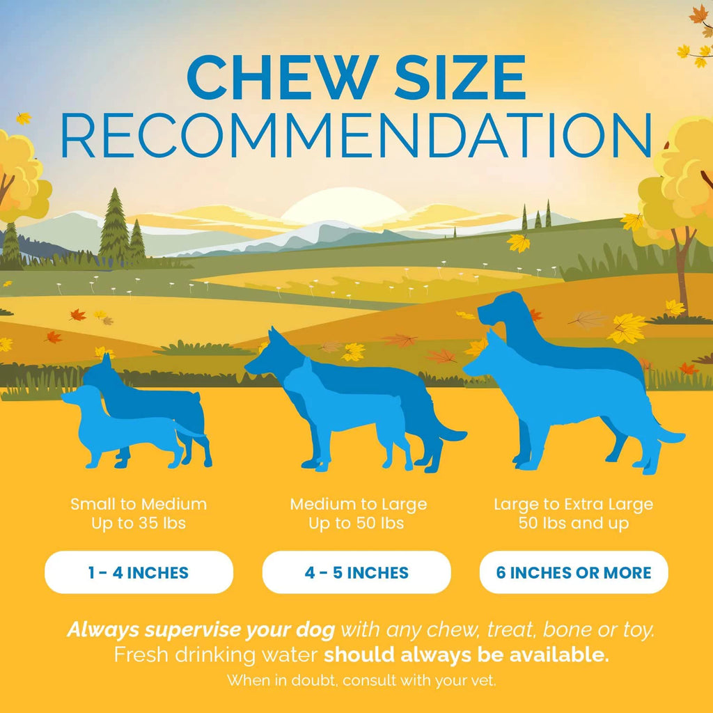 Beef Bone Chews for Dogs 3-4 inches 6 Count Z252572