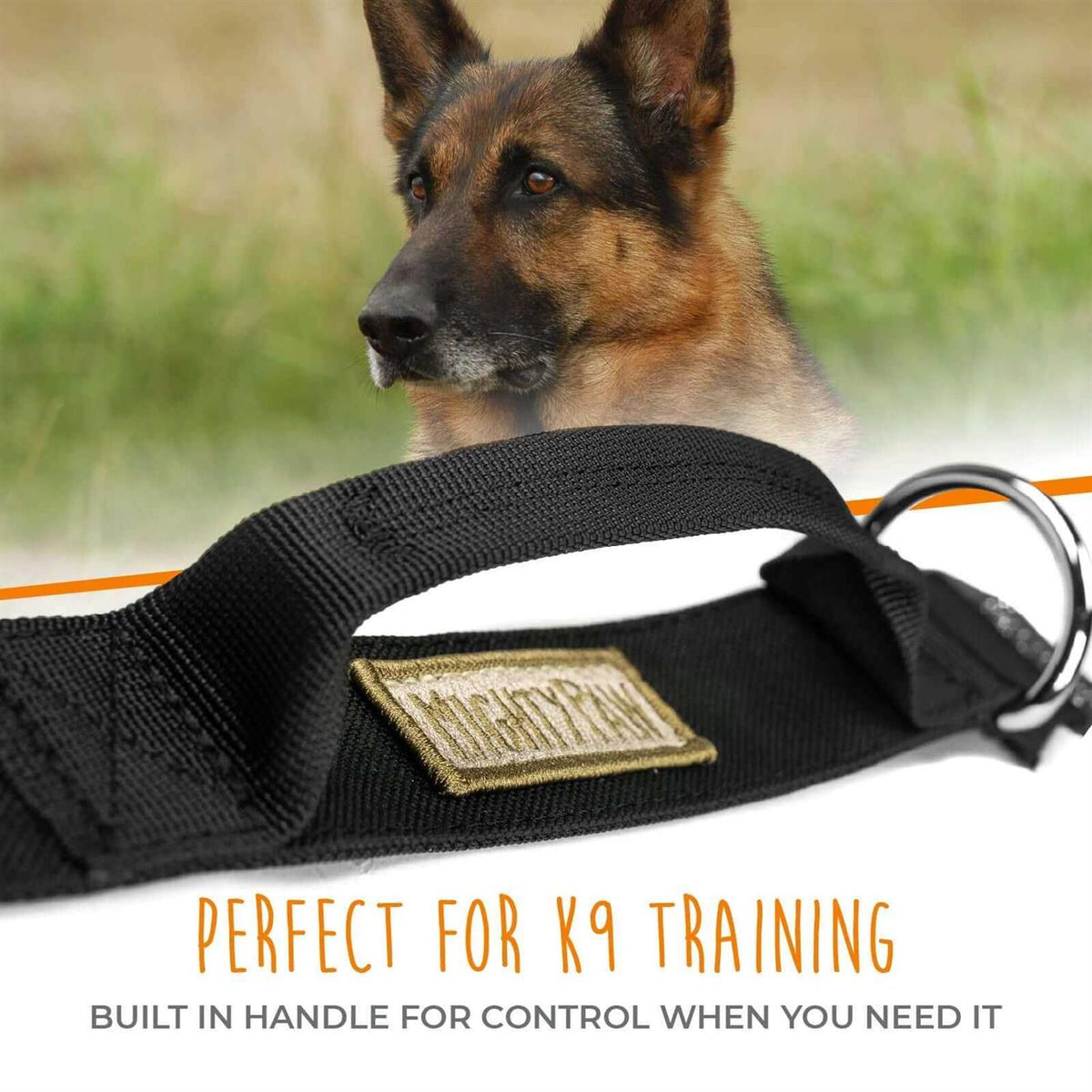 Heavy Duty Dog Collar with Metal Buckle Z974441