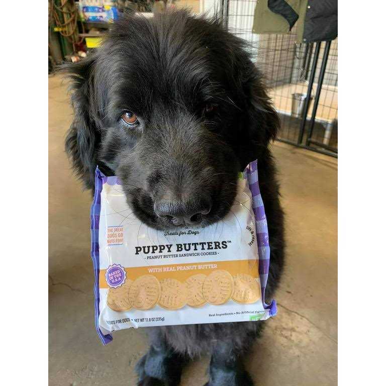 Peanut Butter Dog Treats U422
