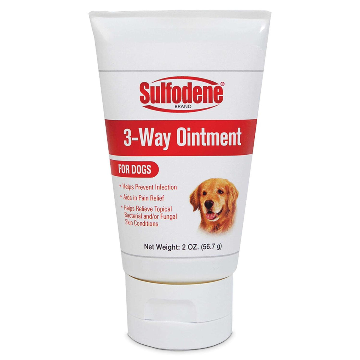 Dog Ointment P93101
